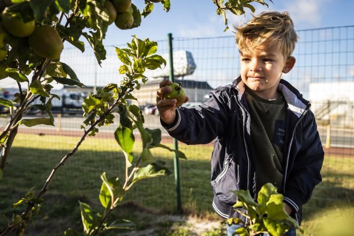Kind plukt planten aan stedelijke basisschool De Schroef